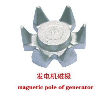magnetic pole of generator