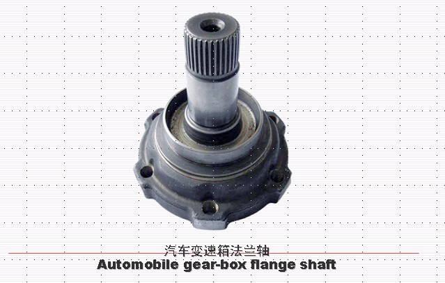 flange shaft