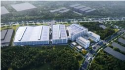 ����ï�������㲿����ʽ�������裡