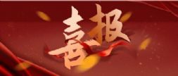喜报！中国锻压协会入选工信部2021年团体标准应用示范项目