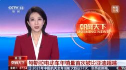 ���ǵϣ�2025��ȫ��綯����������һ��