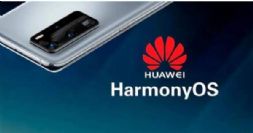 ֿʼ⻪Ϊֻйһ귭һ