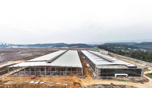 ���Ͻ��㲿����ɫ����������Ŀ������Ͷ����